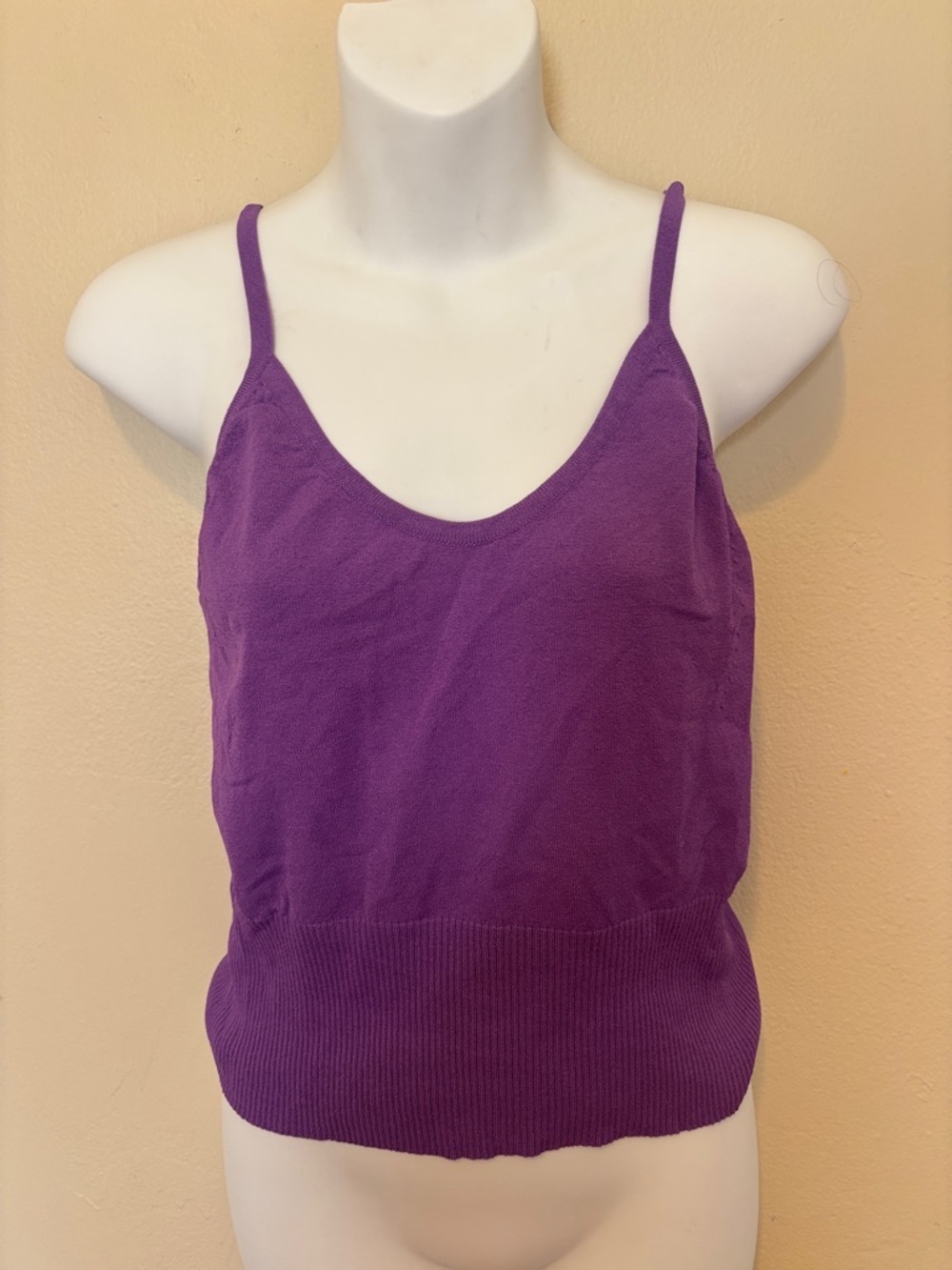 Express Purple Spaghetti Strap Knit Camisole Top